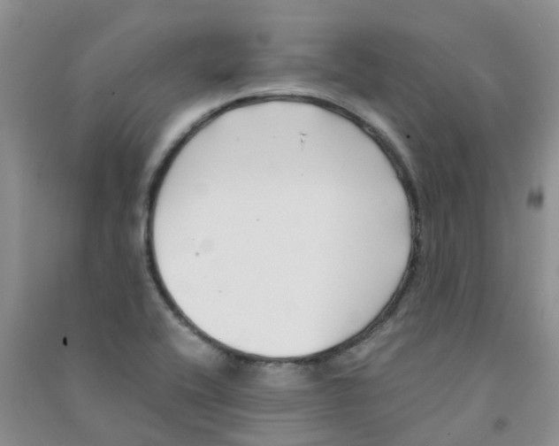 X0000090701416200708171837