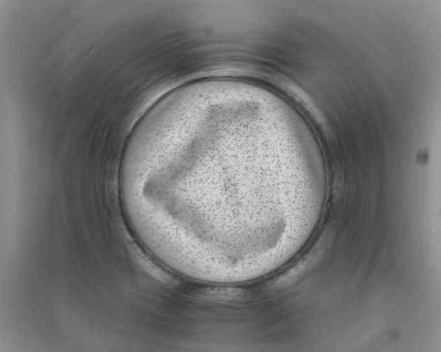 X0000090701417200708171837