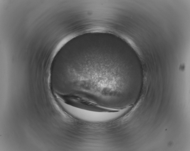 X0000090701418200708171837