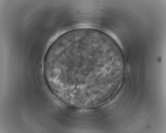 X0000090701419200708171837