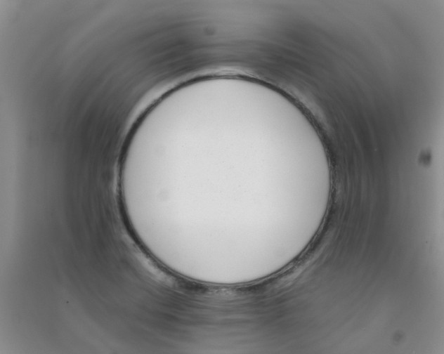 X0000090701420200708171837