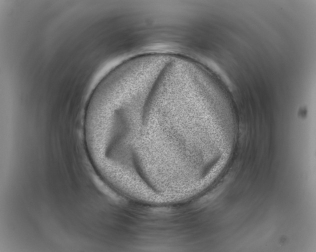 X0000090701421200708171837