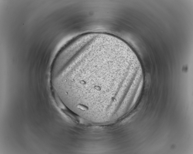 X0000090701424200708171837