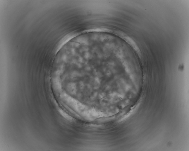 X0000090701425200708171837