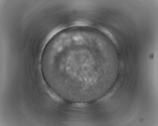 X0000090701427200708171837