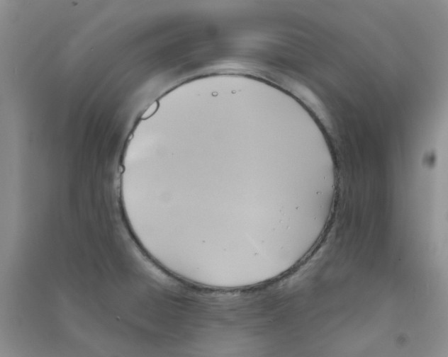 X0000090701428200708171837