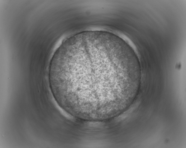 X0000090701429200708171837