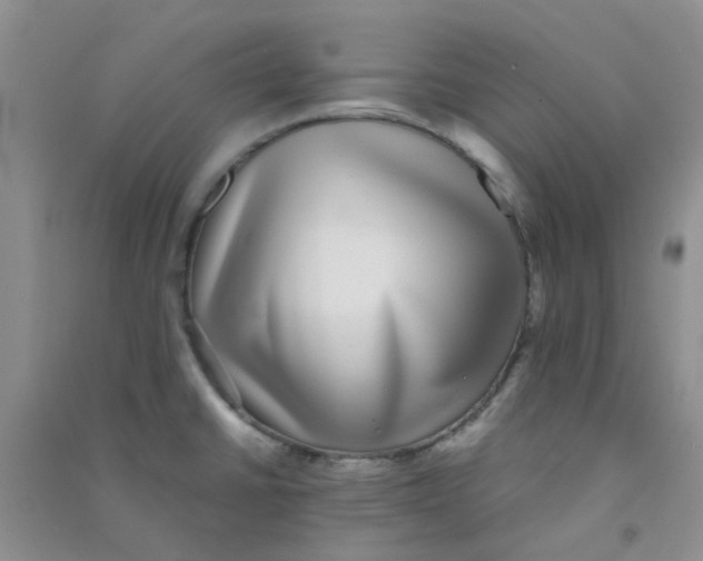 X0000090701430200708171837