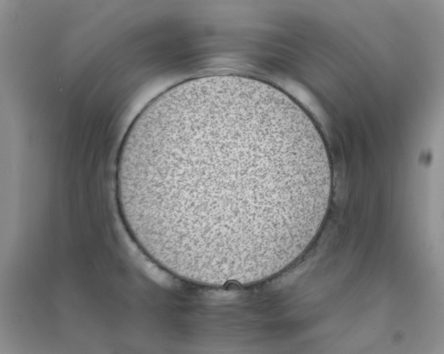 X0000090701431200708171837