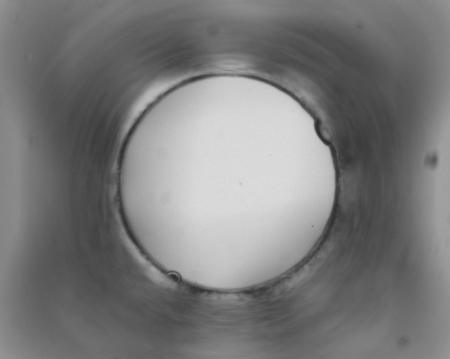 X0000090701432200708171837