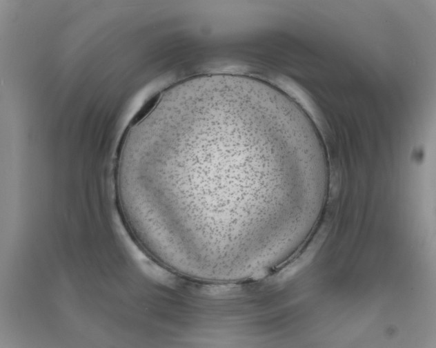 X0000090701434200708171837