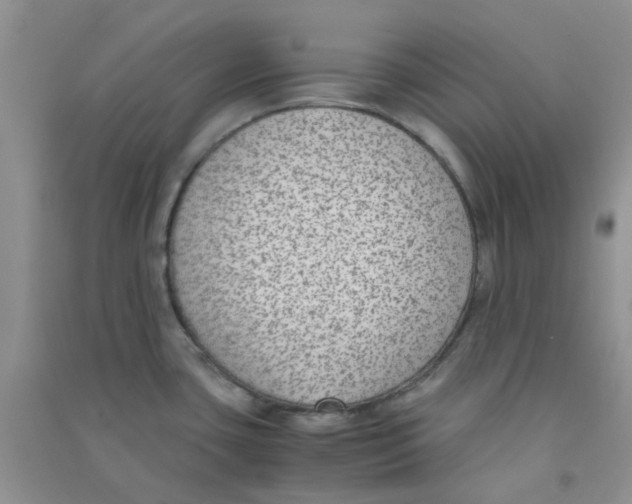 X0000090701435200708171837