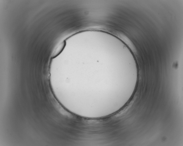 X0000090701436200708171837