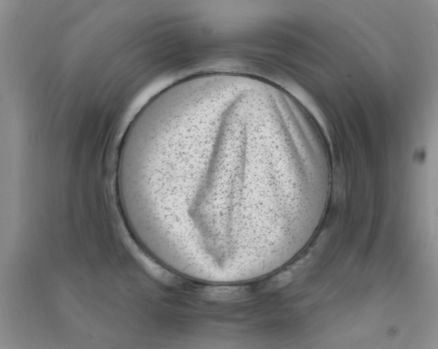 X0000090701437200708171837