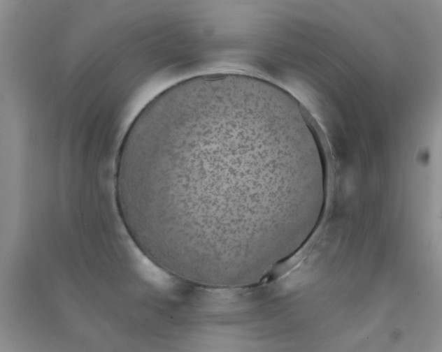 X0000090701438200708171837