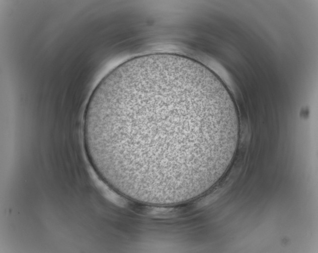 X0000090701439200708171837