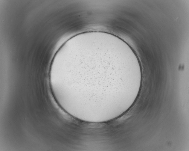 X0000090701440200708171837