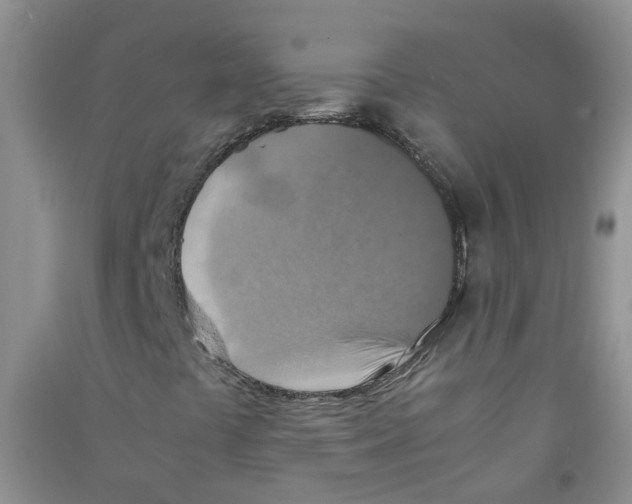 X0000090701441200708171837