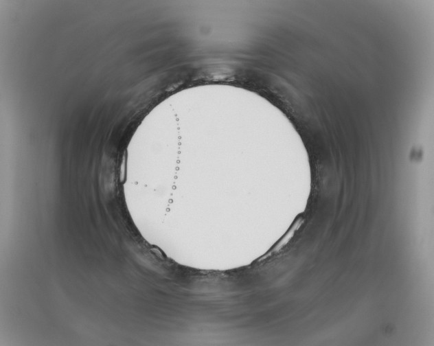 X0000090701442200708171837