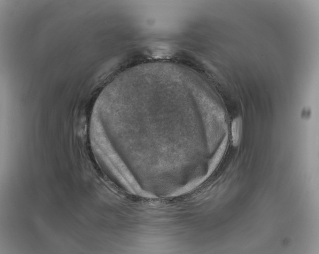 X0000090701443200708171837