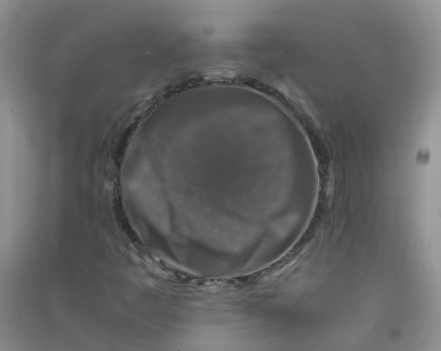 X0000090701445200708171836