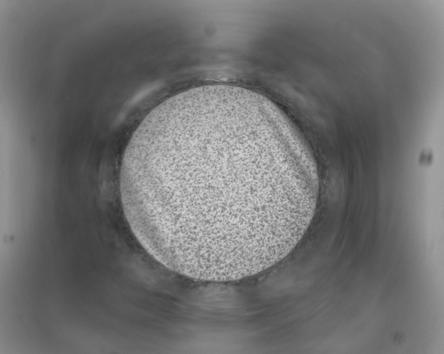 X0000090701446200708171836