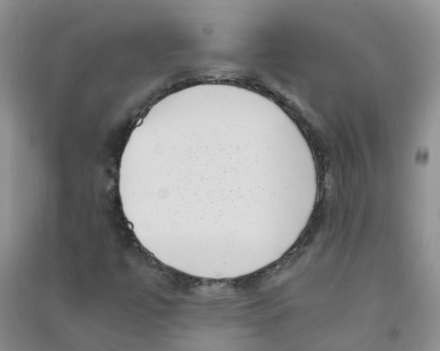 X0000090701447200708171836