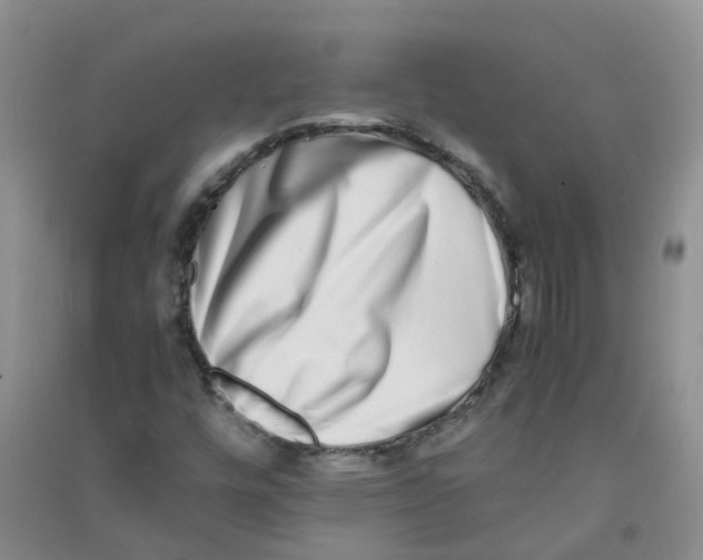 X0000090701448200708171836