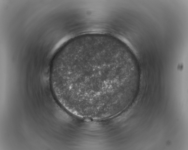 X0000090701450200708171836