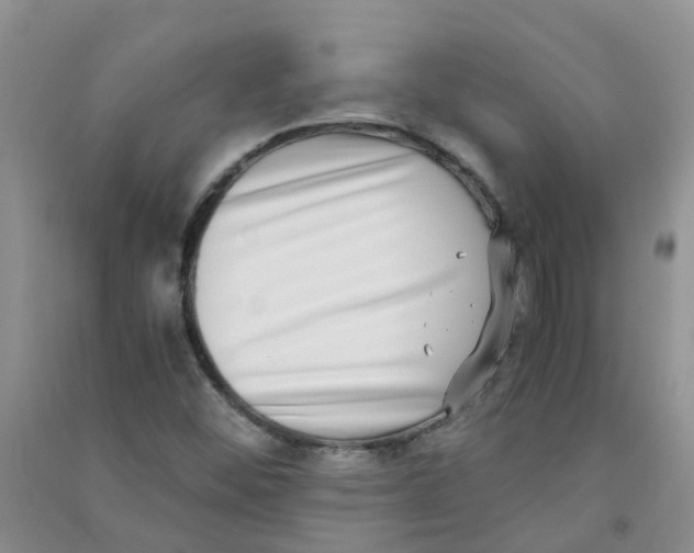 X0000090701452200708171836