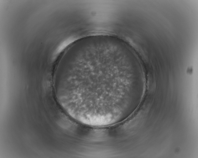 X0000090701453200708171836