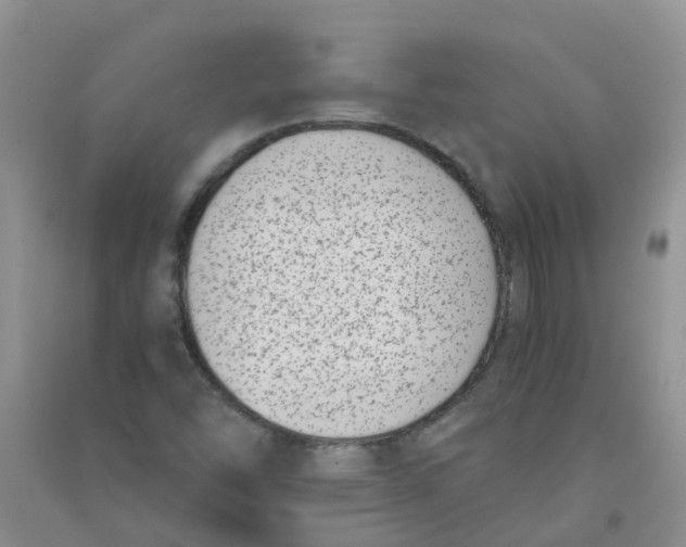 X0000090701454200708171836