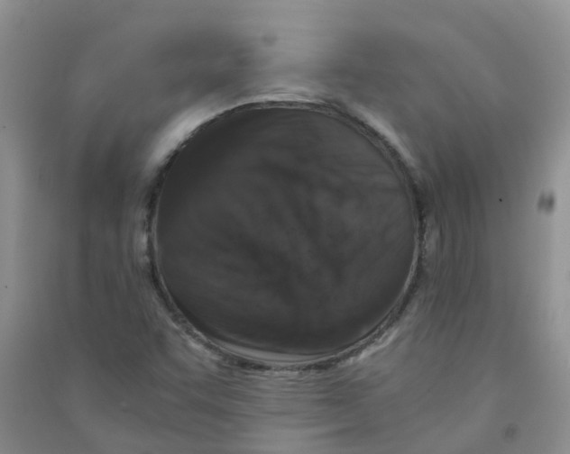 X0000090701455200708171836