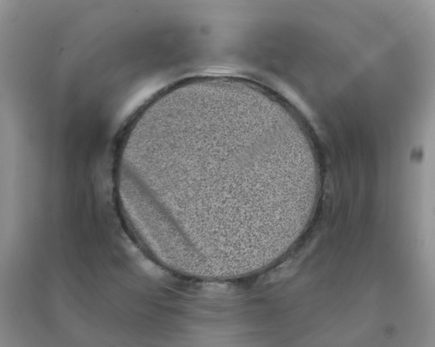 X0000090701456200708171836