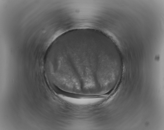 X0000090701457200708171836