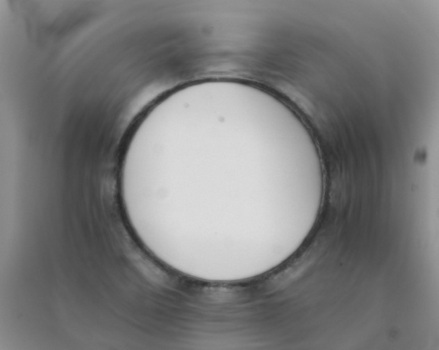 X0000090701458200708171836