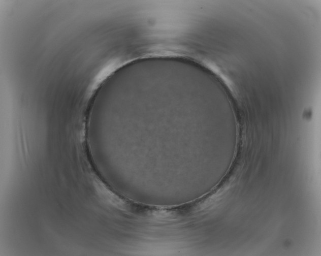 X0000090701459200708171836