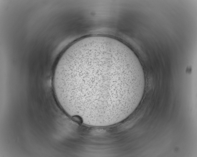 X0000090701462200708171836