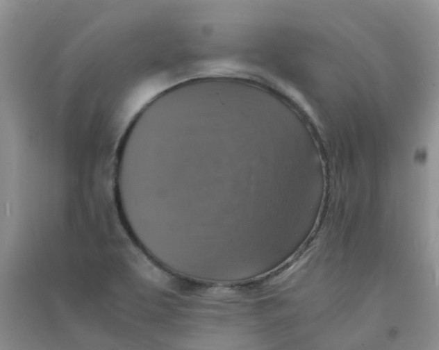 X0000090701463200708171836