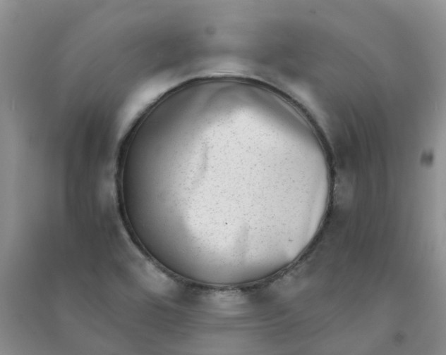 X0000090701464200708171836