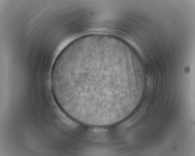 X0000090701466200708171836