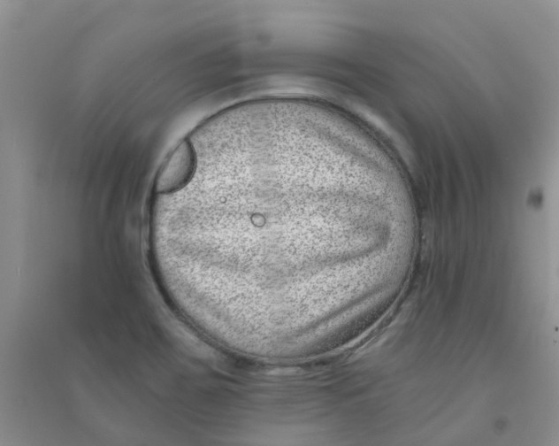 X0000090701467200708171836