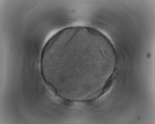 X0000090701469200708171836