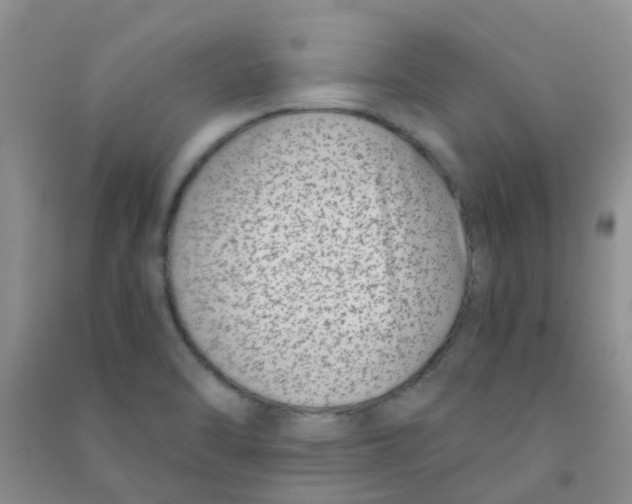 X0000090701470200708171836