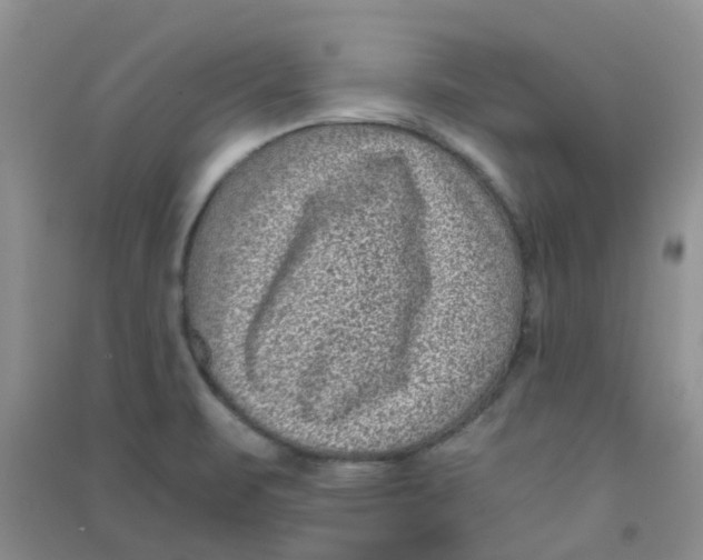 X0000090701471200708171836