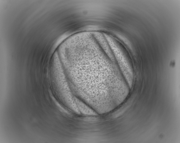 X0000090701473200708171836