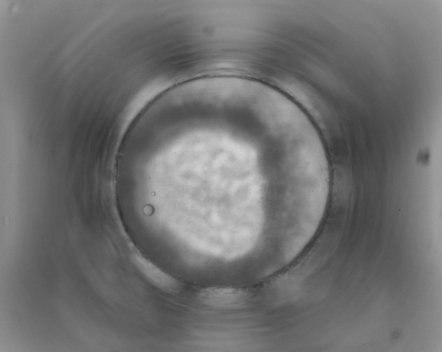 X0000090701474200708171836