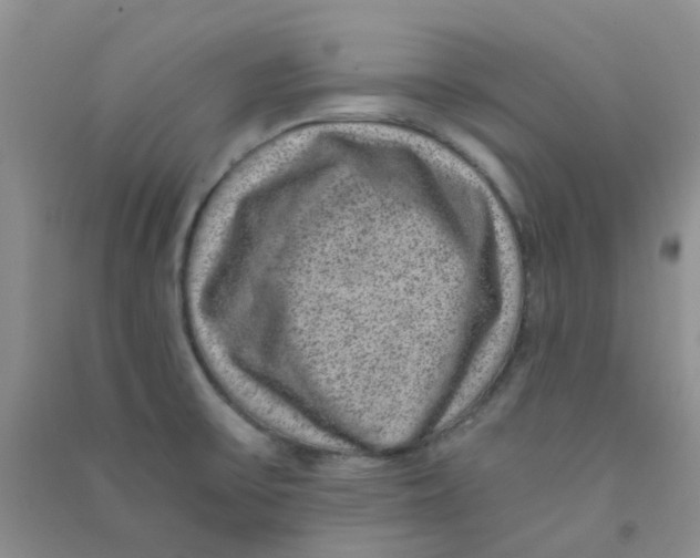 X0000090701475200708171836