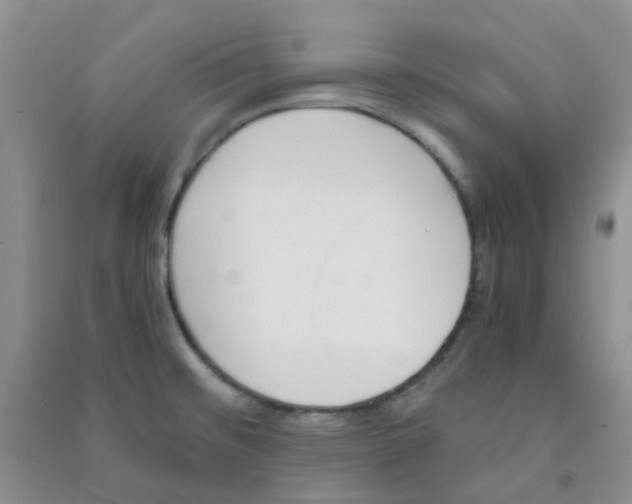 X0000090701476200708171836