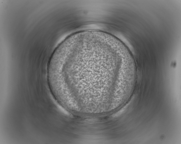 X0000090701477200708171836